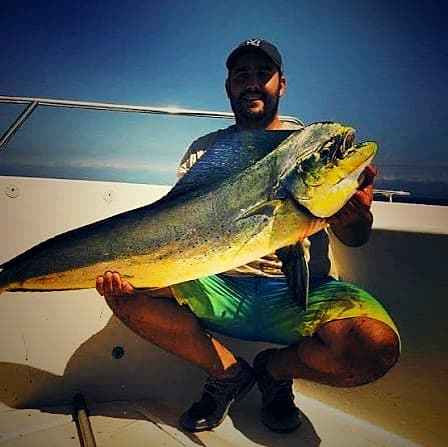 Mahi-mahi (Coryphène)