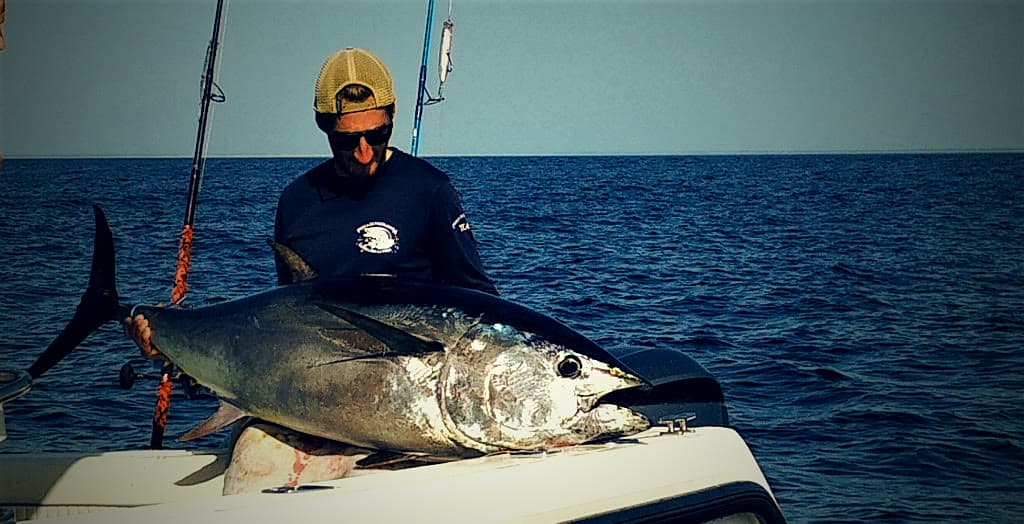 Thon rouge (Bluefin)