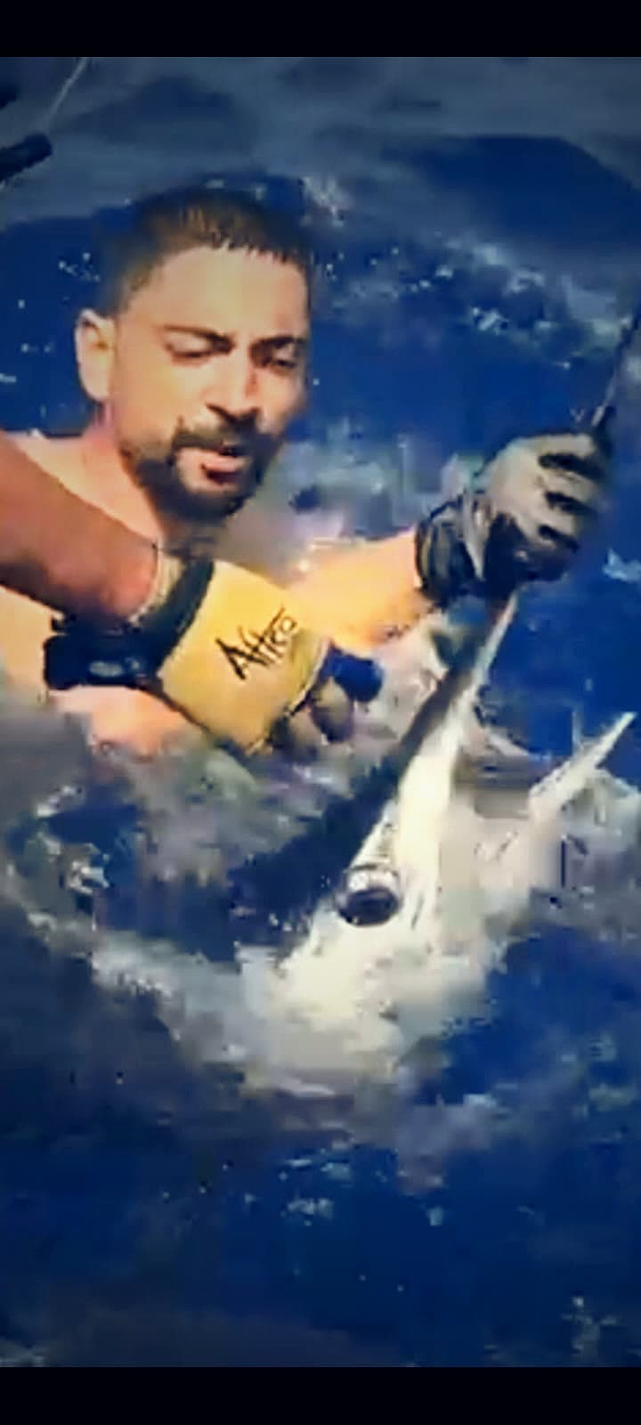 Marlin au bateau, relâché en pleine forme