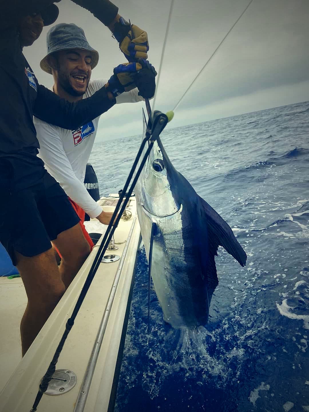 Marlin le long du bord, prêt pour la relâche